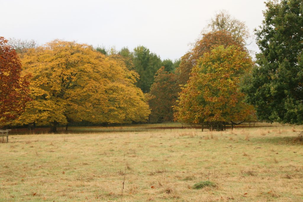 This image has an empty alt attribute; its file name is IMG_9915-1024x683.jpg